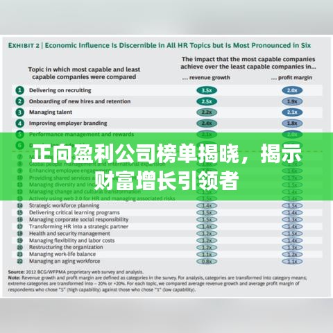 正向盈利公司榜单揭晓，揭示财富增长引领者
