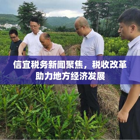 信宜税务新闻聚焦，税收改革助力地方经济发展