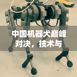 中国机器犬巅峰对决，技术与智能的终极较量