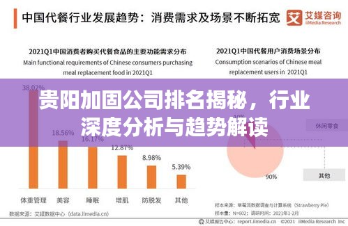 贵阳加固公司排名揭秘，行业深度分析与趋势解读