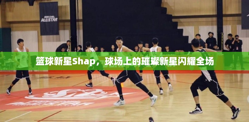 篮球新星Shap，球场上的璀璨新星闪耀全场