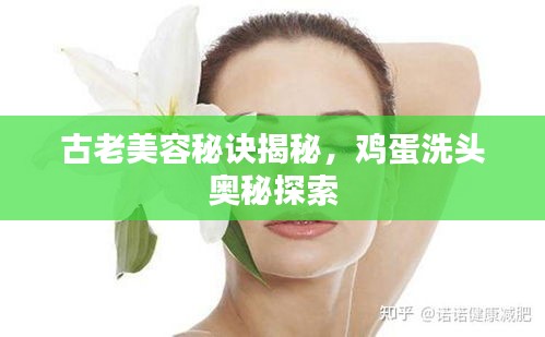 古老美容秘诀揭秘，鸡蛋洗头奥秘探索