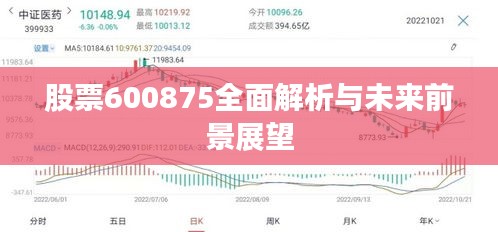 股票600875全面解析与未来前景展望