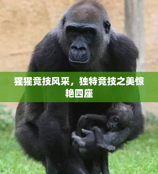 猩猩竞技风采，独特竞技之美惊艳四座