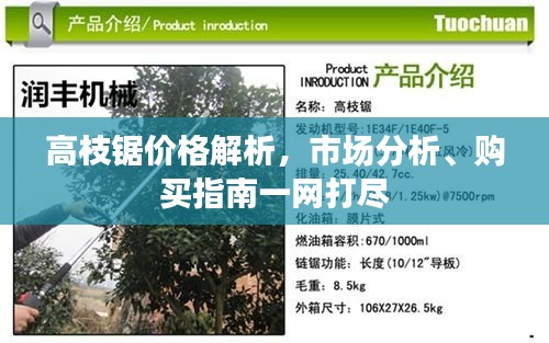 高枝锯价格解析，市场分析、购买指南一网打尽