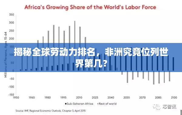 揭秘全球劳动力排名，非洲究竟位列世界第几？