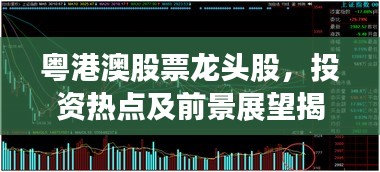 粤港澳股票龙头股，投资热点及前景展望揭秘