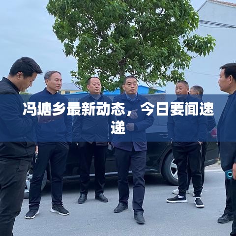 冯塘乡最新动态，今日要闻速递