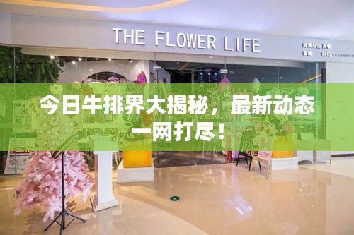 今日牛排界大揭秘，最新动态一网打尽！