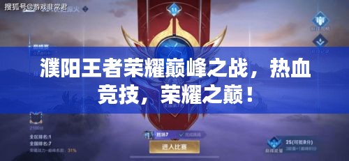 濮阳王者荣耀巅峰之战，热血竞技，荣耀之巅！