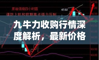 九牛力收购行情深度解析，最新价格走势一网打尽！