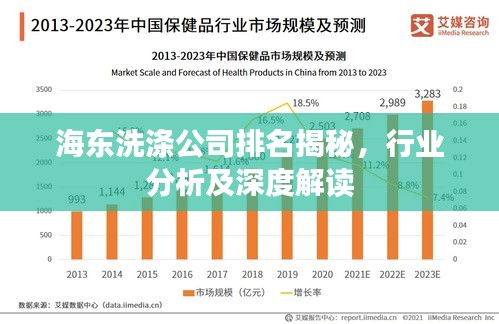 海东洗涤公司排名揭秘，行业分析及深度解读