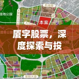 厦字股票，深度探索与投资机遇揭秘