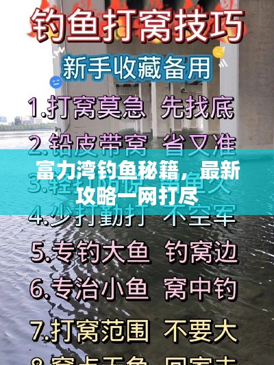 富力湾钓鱼秘籍，最新攻略一网打尽