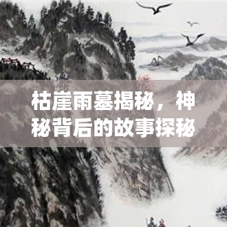 枯崖雨墓揭秘，神秘背后的故事探秘